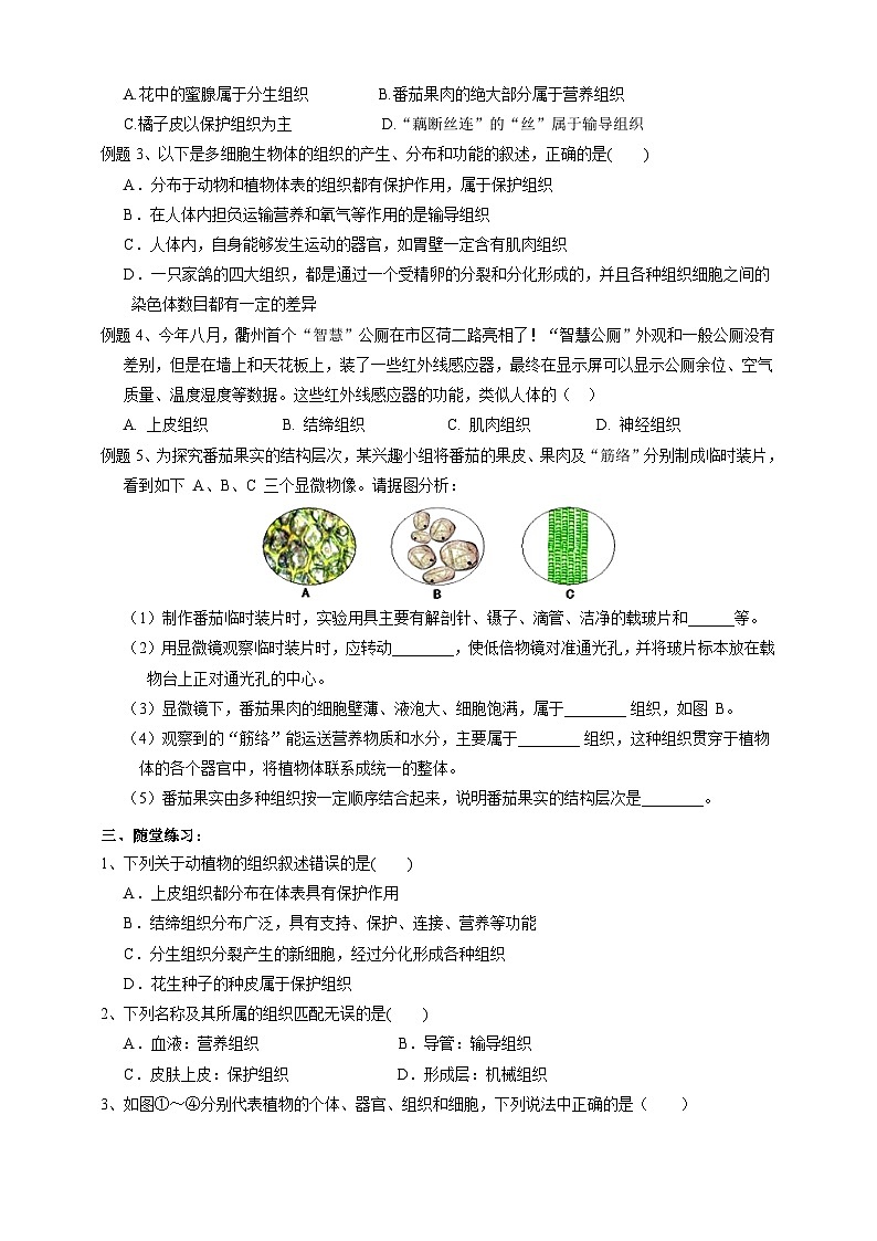 2.3生物体的结构层次   学案 浙教版科学七年级上册02
