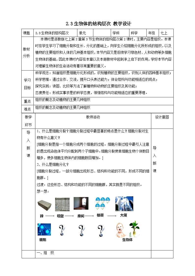 2.3生物体的结构层次  教学设计（表格式） 浙教版科学七年级上册01
