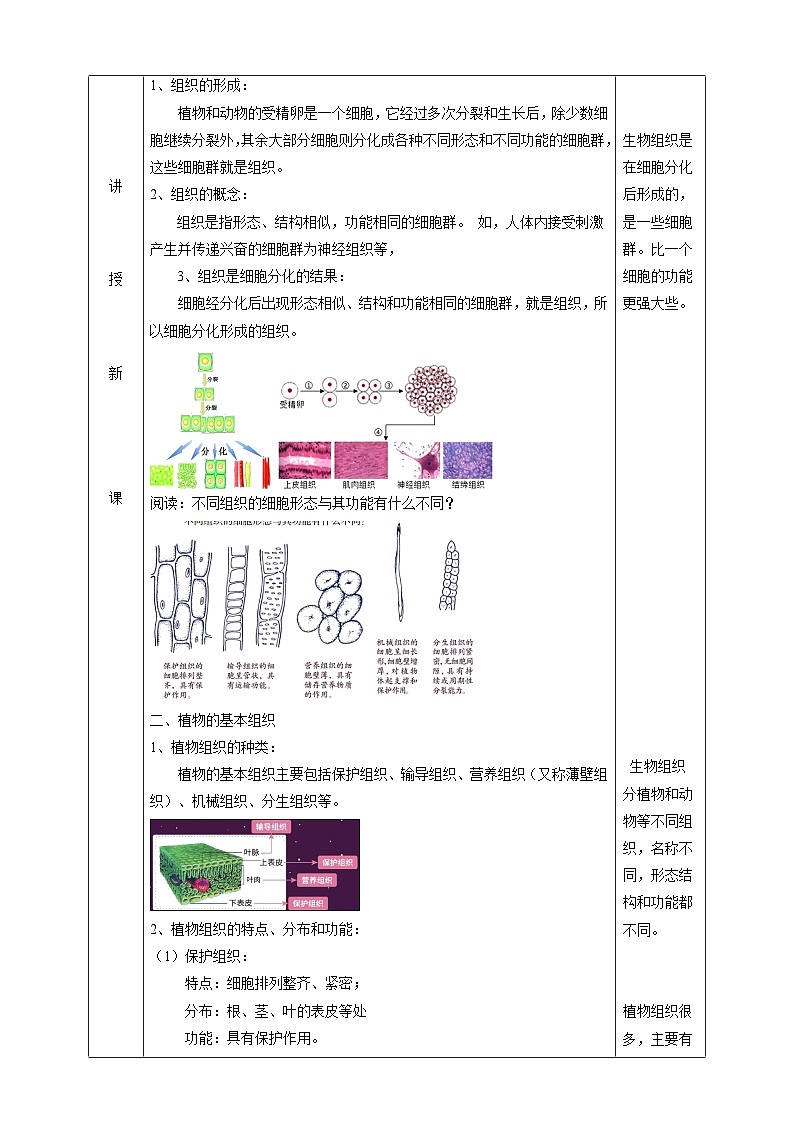 2.3生物体的结构层次  教学设计（表格式） 浙教版科学七年级上册02