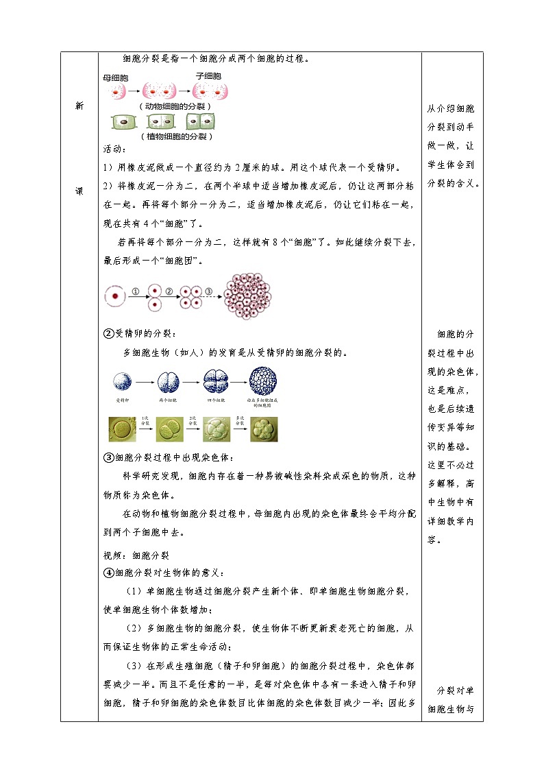 2.3生物体的结构层次 教学设计 浙教版科学七年级上册02