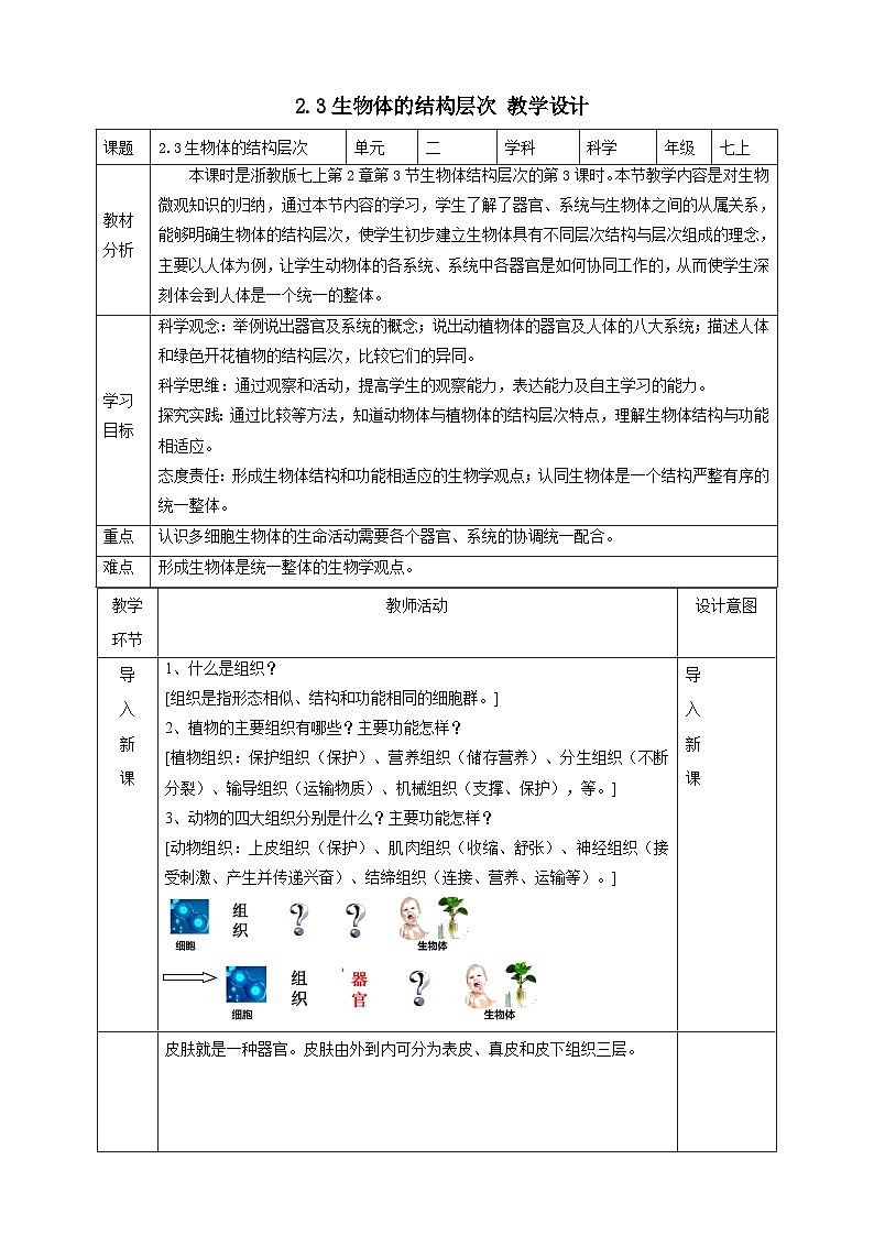 2.3生物体的结构层次 教学设计（表格式） 浙教版七年级上册科学01