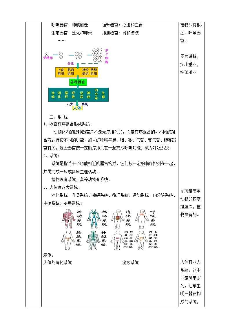 2.3生物体的结构层次 教学设计（表格式） 浙教版七年级上册科学03