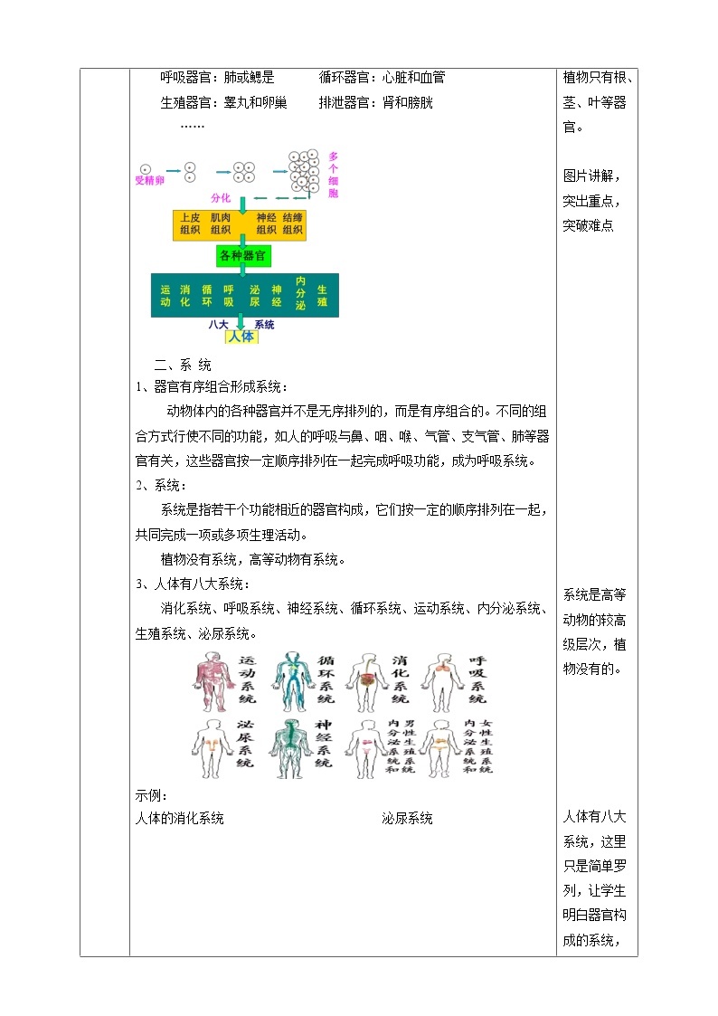 2.3生物体的结构层次 教学设计（表格式） 浙教版七年级上册科学03