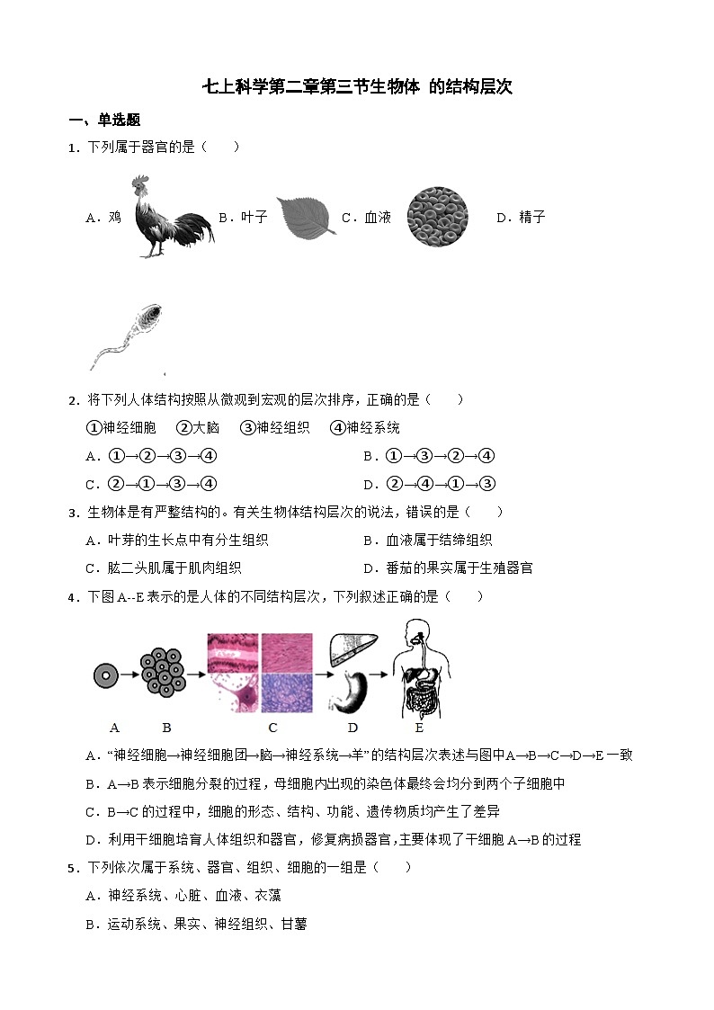 2.3生物体的结构层次 浙教版七年级上册科学 教案01