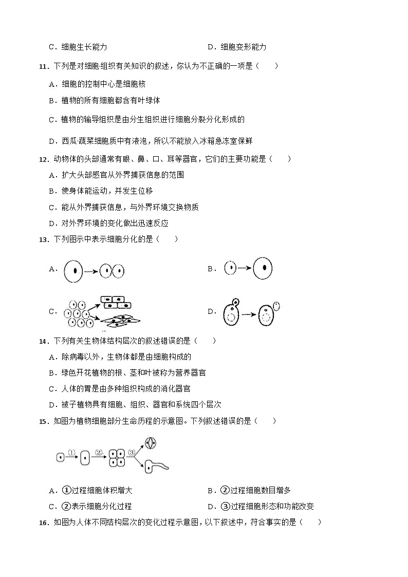 2.3生物体的结构层次 浙教版七年级上册科学 教案03