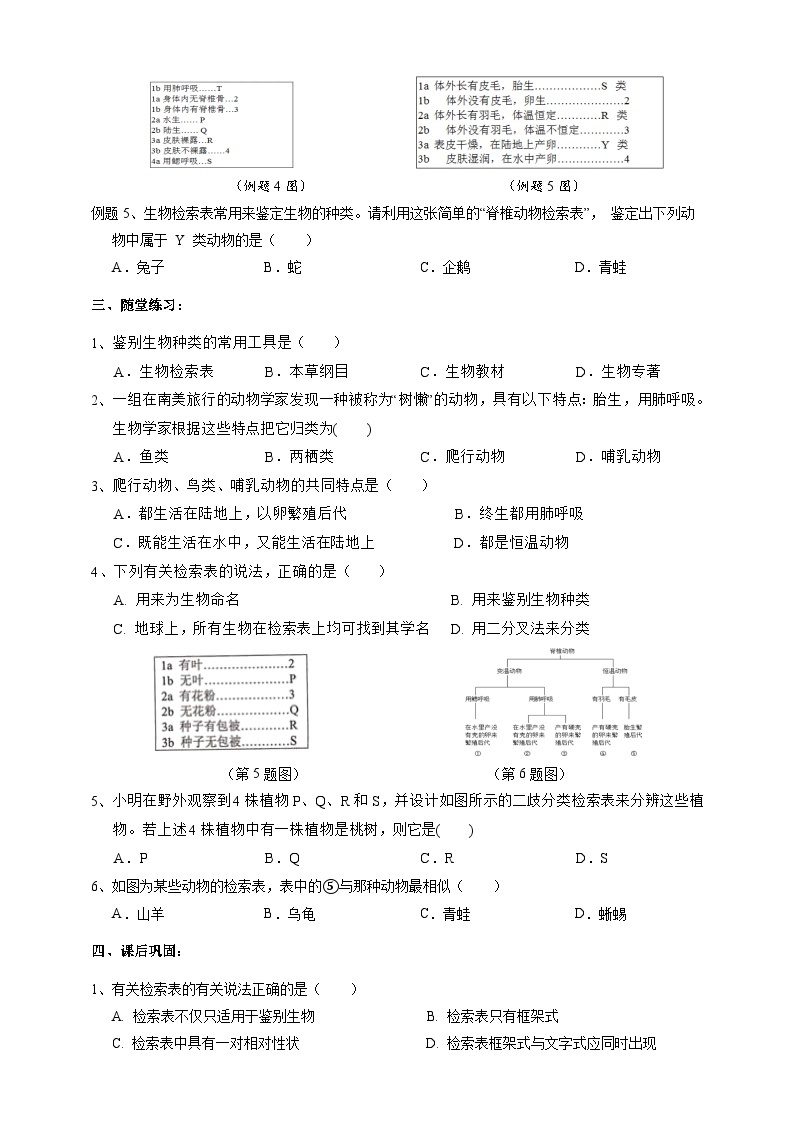 2.4常见的动物   学案 浙教版科学七年级上册03