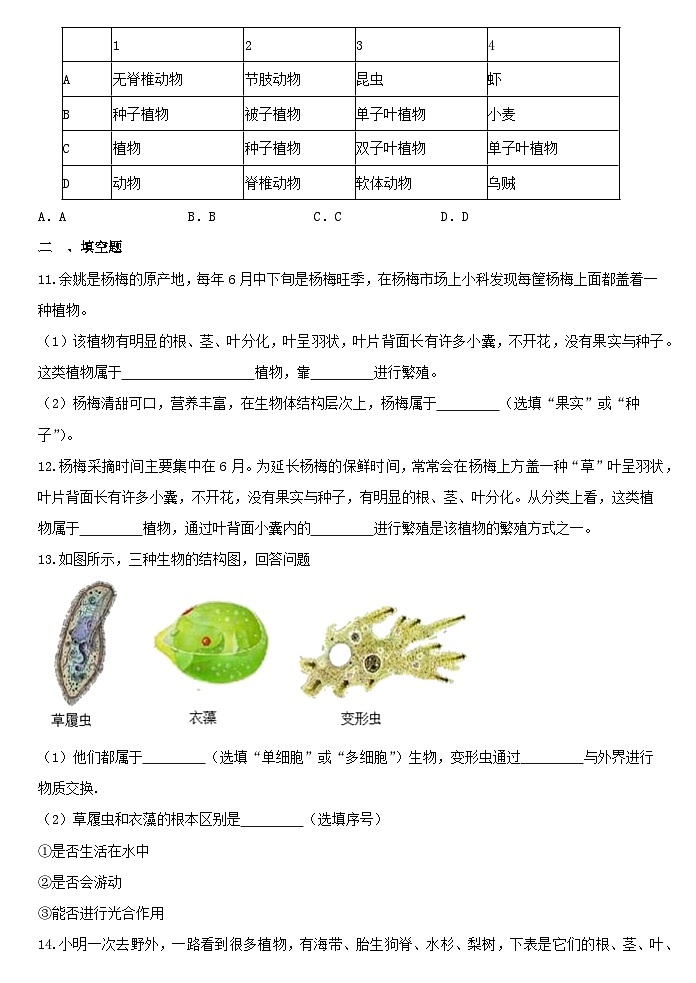 2.5 2.6综合练习 浙教版七年级上册科学03