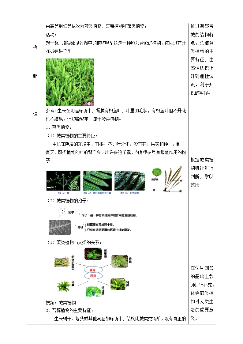 2.5常见的植物  教学设计（表格式） 浙教版七年级上册科学02