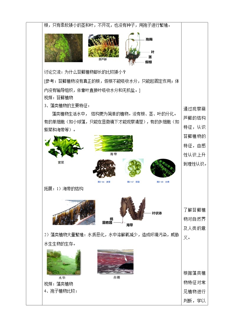 2.5常见的植物  教学设计（表格式） 浙教版七年级上册科学03