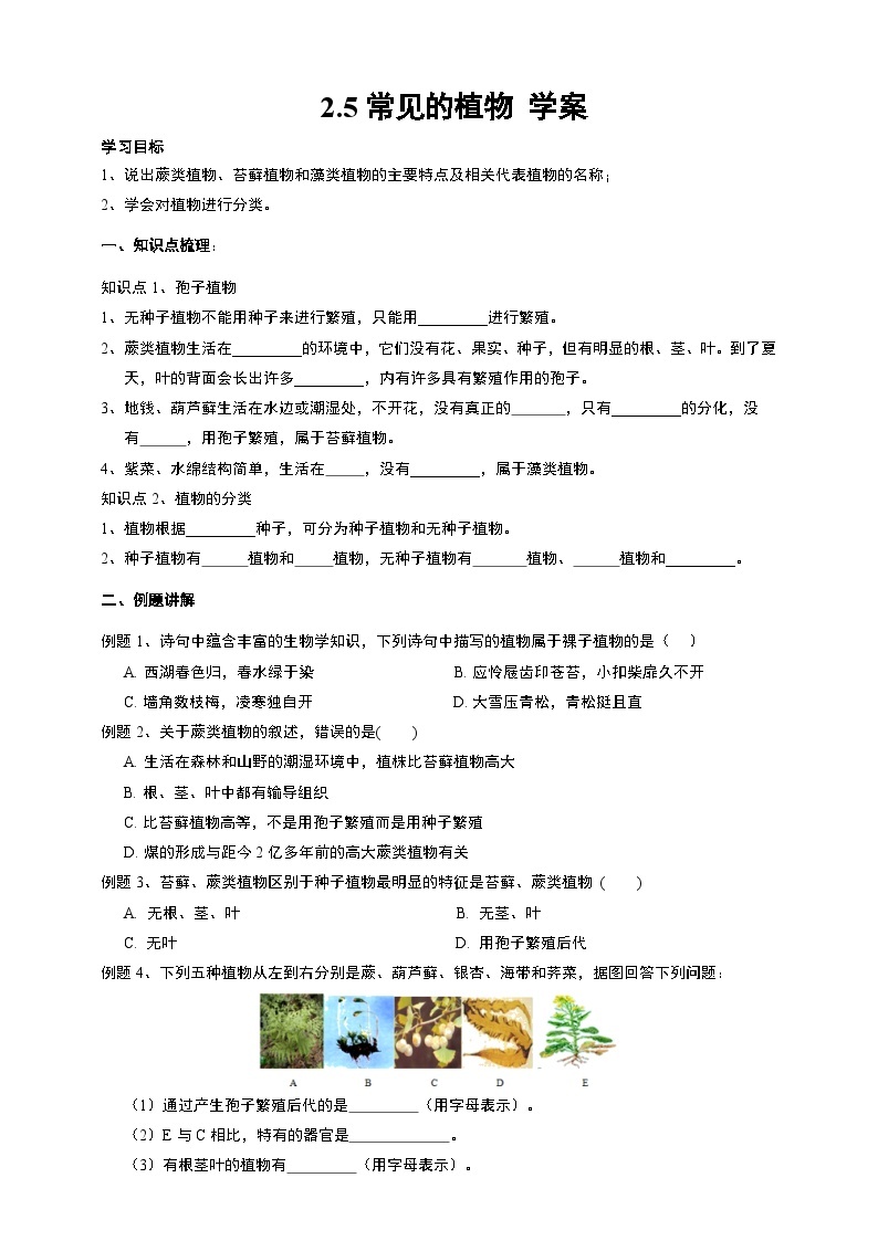2.5常见的植物 学案 浙教版七年级上册科学01
