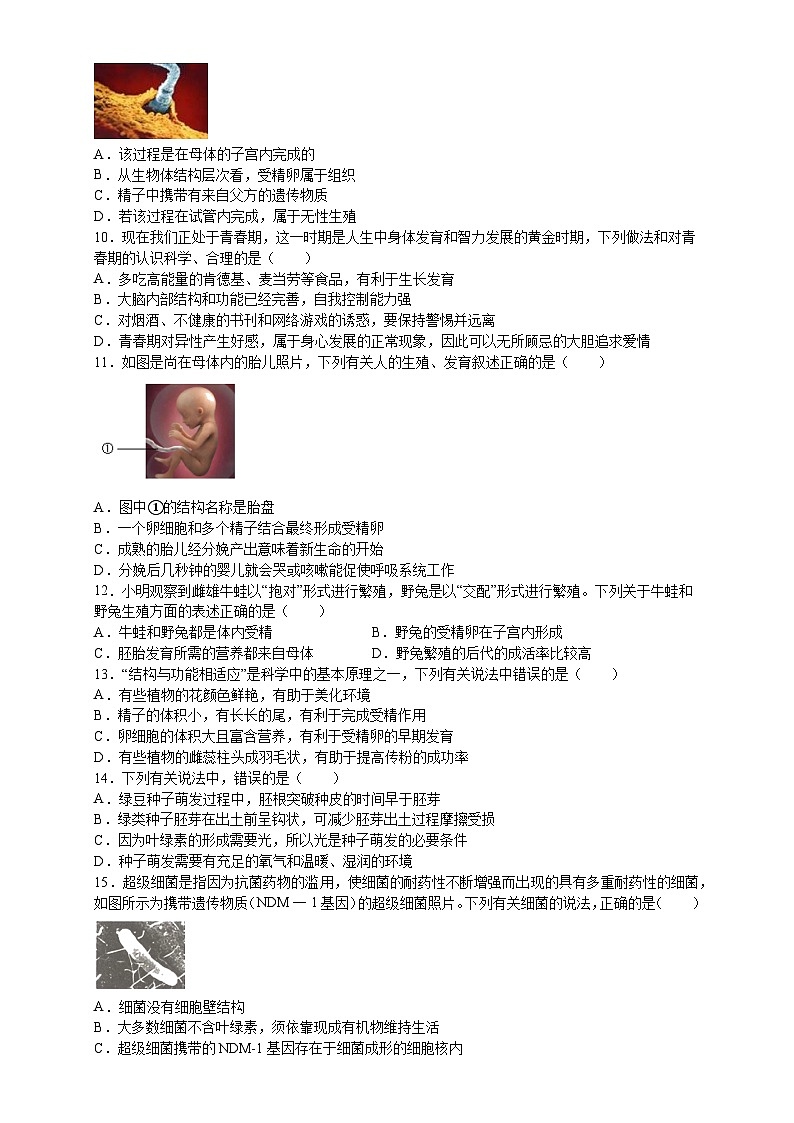 第一单元期末复习 选择题3 浙教版科学七年级下册02