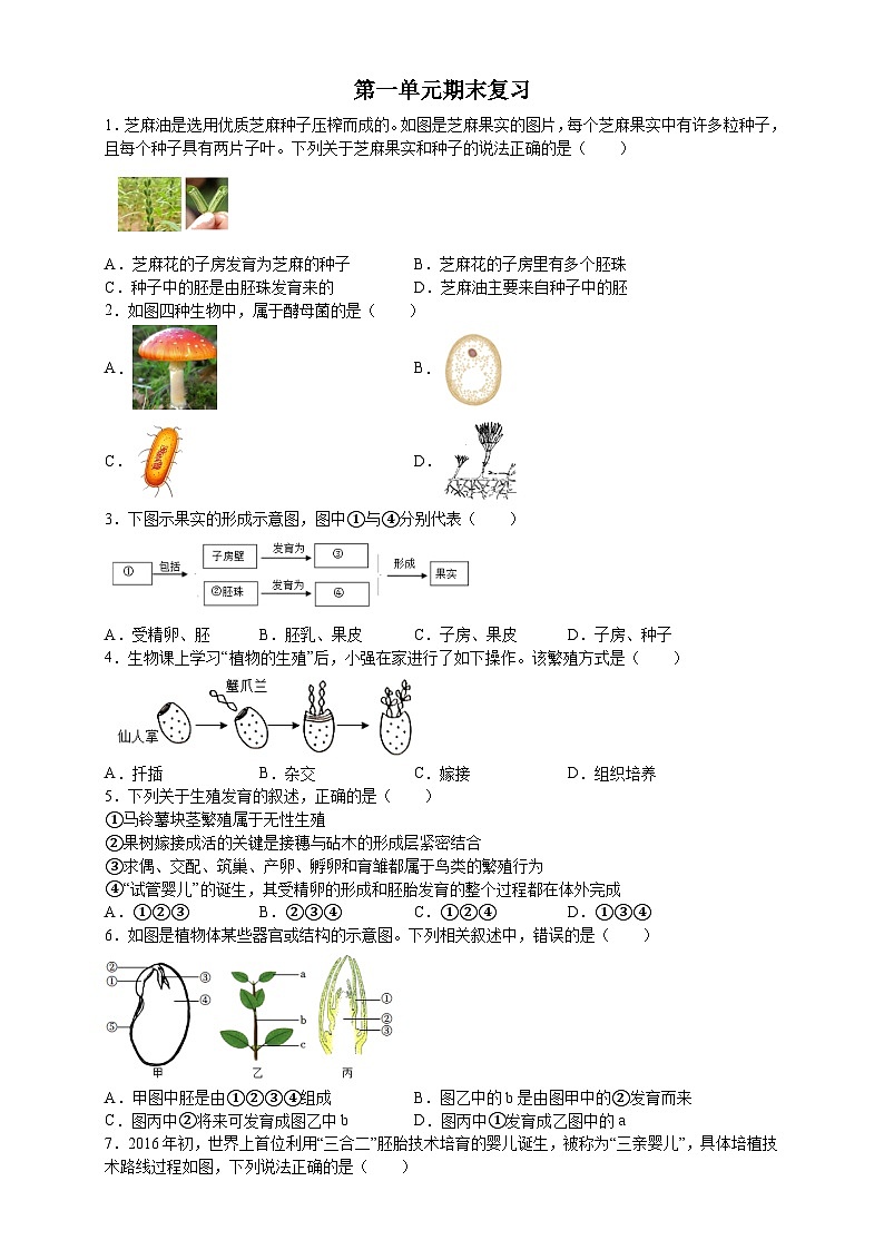 第一单元期末复习：选择题2——浙教版科学七年级下册01