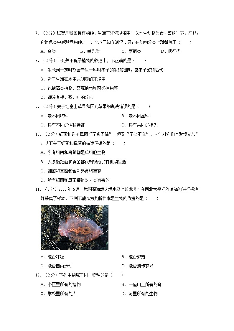 浙江省宁波市余姚市梨洲中学2022-2023学年七年级上学期期中科学试卷02