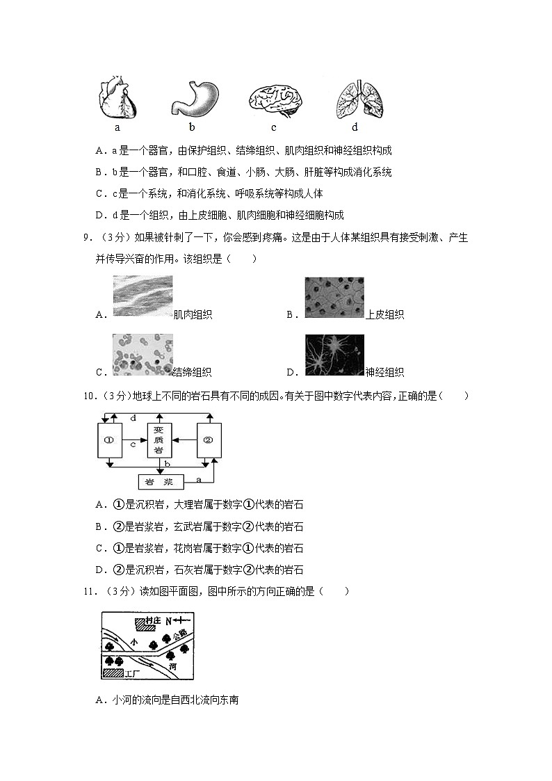 浙江省杭州市下城区采荷中学2021-2022学年七年级上学期期中科学试卷03