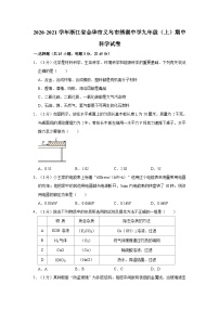 2020-2021学年浙江省金华市义乌市绣湖中学九年级上学期期中科学试卷