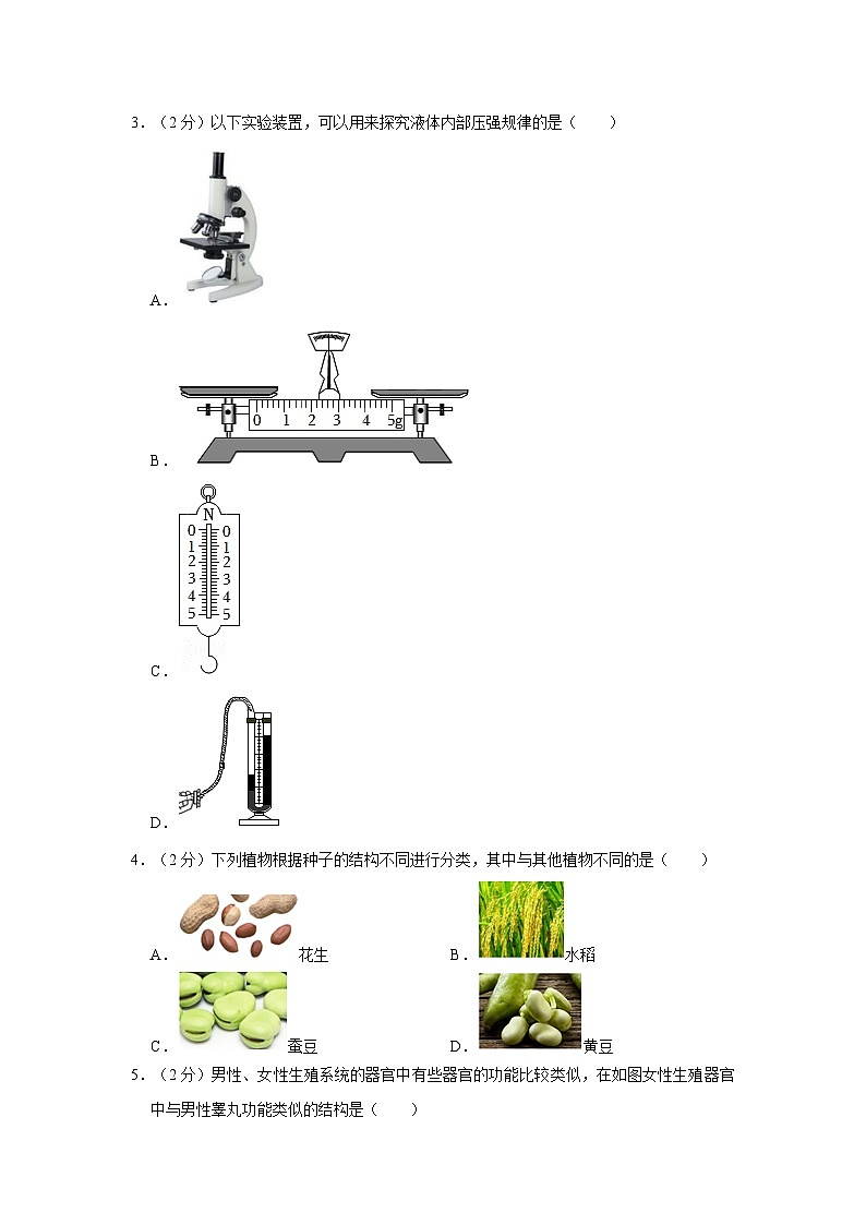 2020-2021学年浙江省温州市鹿城区南浦实验中学七年级下学期期中科学试卷02