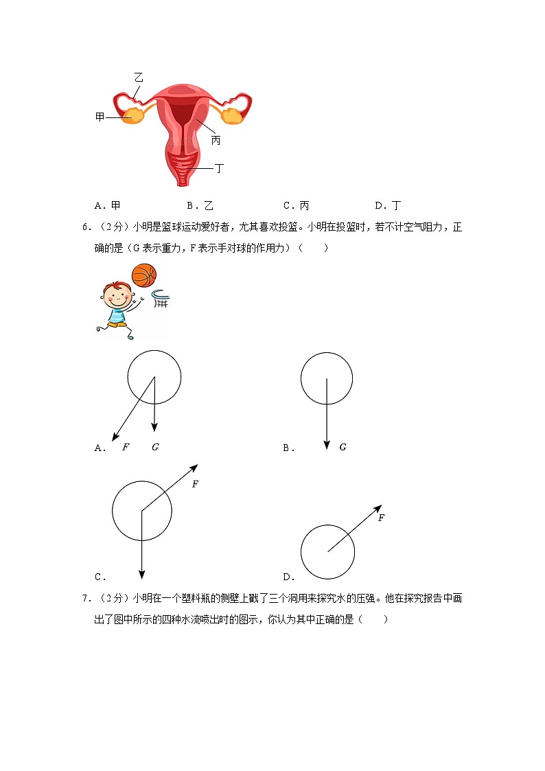 2020-2021学年浙江省温州市鹿城区南浦实验中学七年级下学期期中科学试卷03