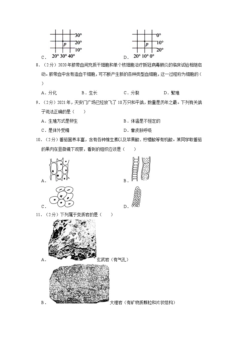 2021-2022学年浙江省温州市永嘉县崇德实验学校七年级上学期期中科学试卷第3页