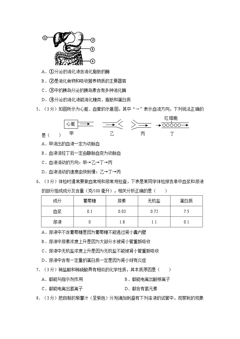 2022-2023学年浙江省杭州市西湖区丰谭中学九年级上学期期中科学试卷（含解析）02