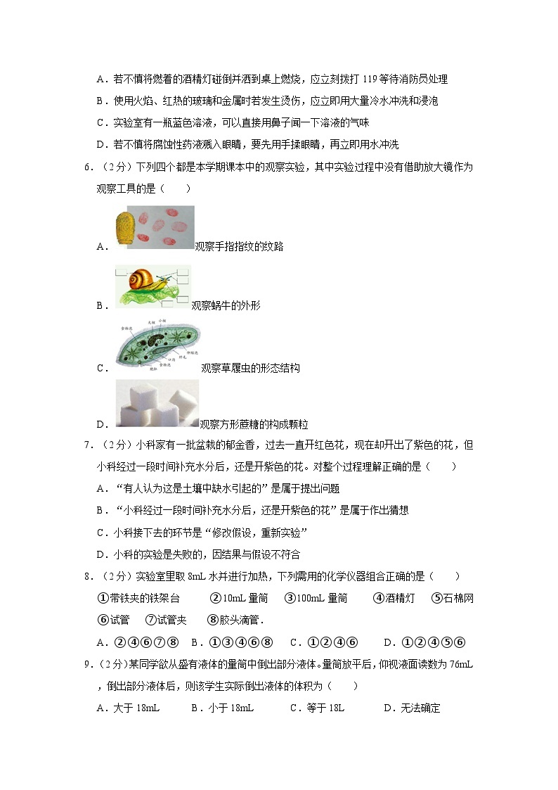 2022-2023学年浙江省杭州市之江一中七年级上学期期中科学试卷（含解析）02