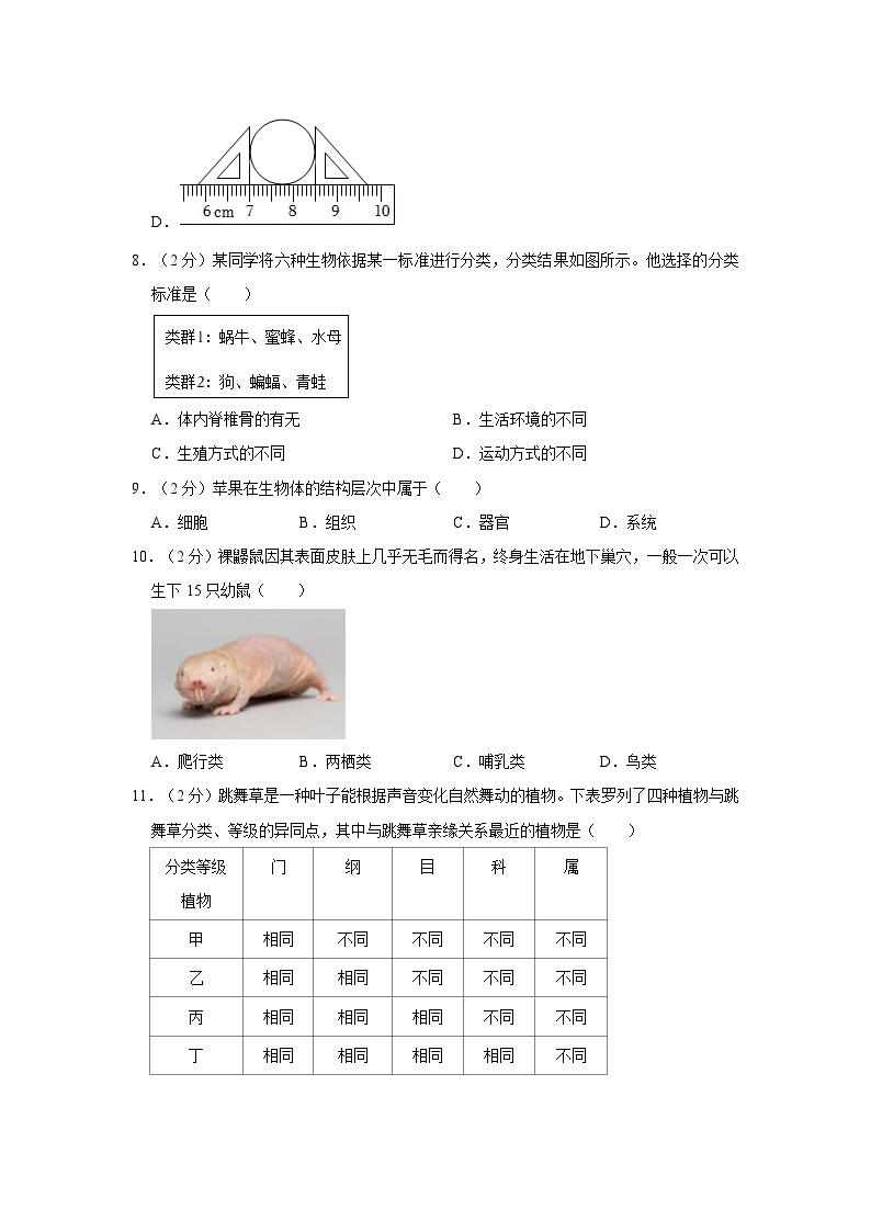 2022-2023学年浙江省温州市鹿城实验中学七年级上学期期中科学试卷（含解析）03