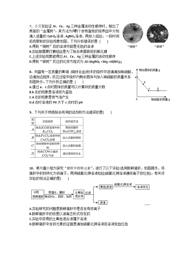 浙江省杭州市临平区树兰实验学校2023--2024学年上学期10月校本练习九年级科学试卷第2页
