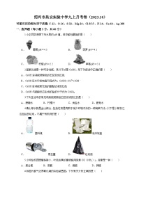 浙江省绍兴市昌安实验学校2023--2024学年上学期九年级科学月考试卷+