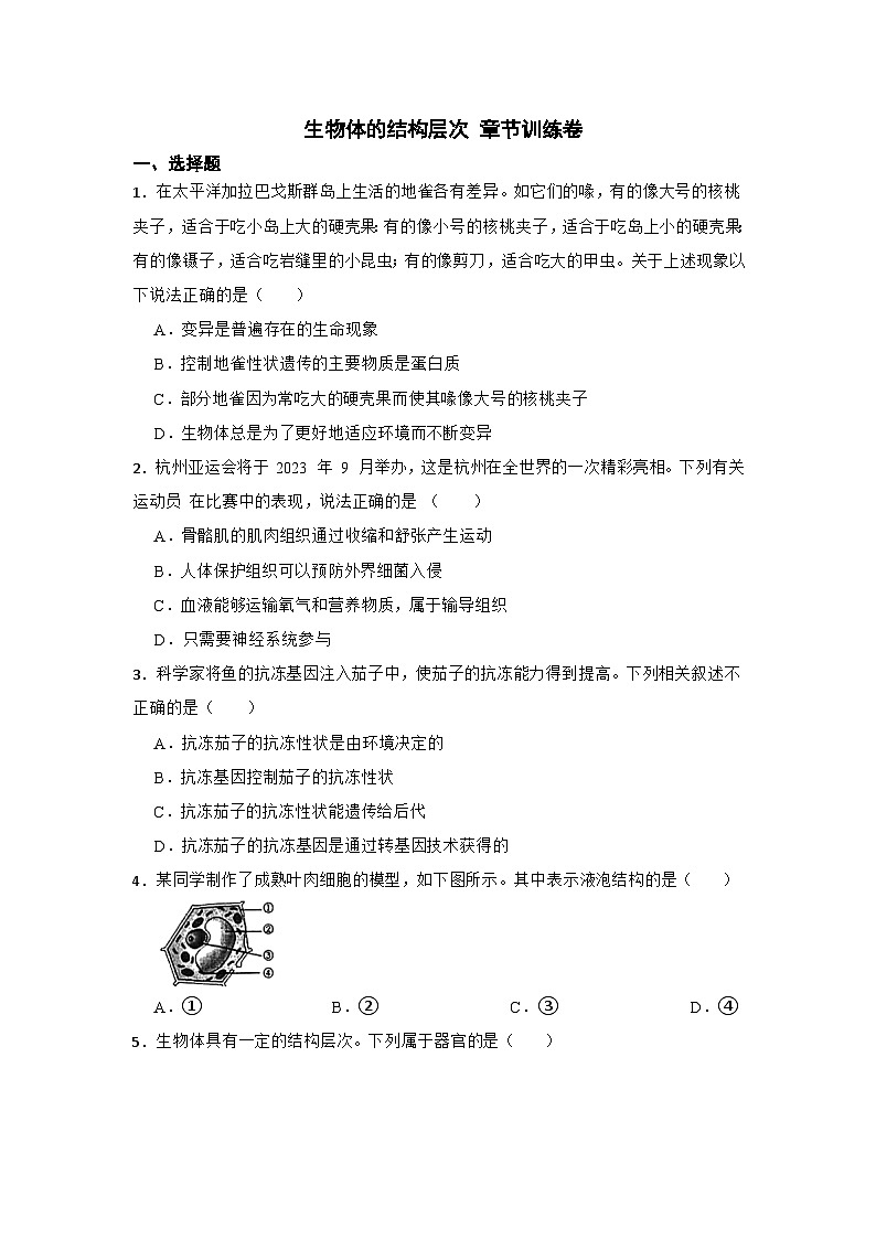 华师大版科学七年级上册 生物体的结构层次 章节训练卷第1页