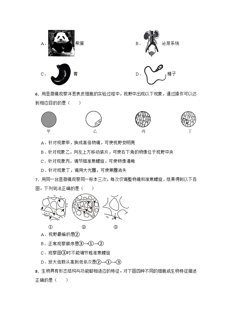 华师大版科学七年级上册 生物体的结构层次 章节训练卷第2页