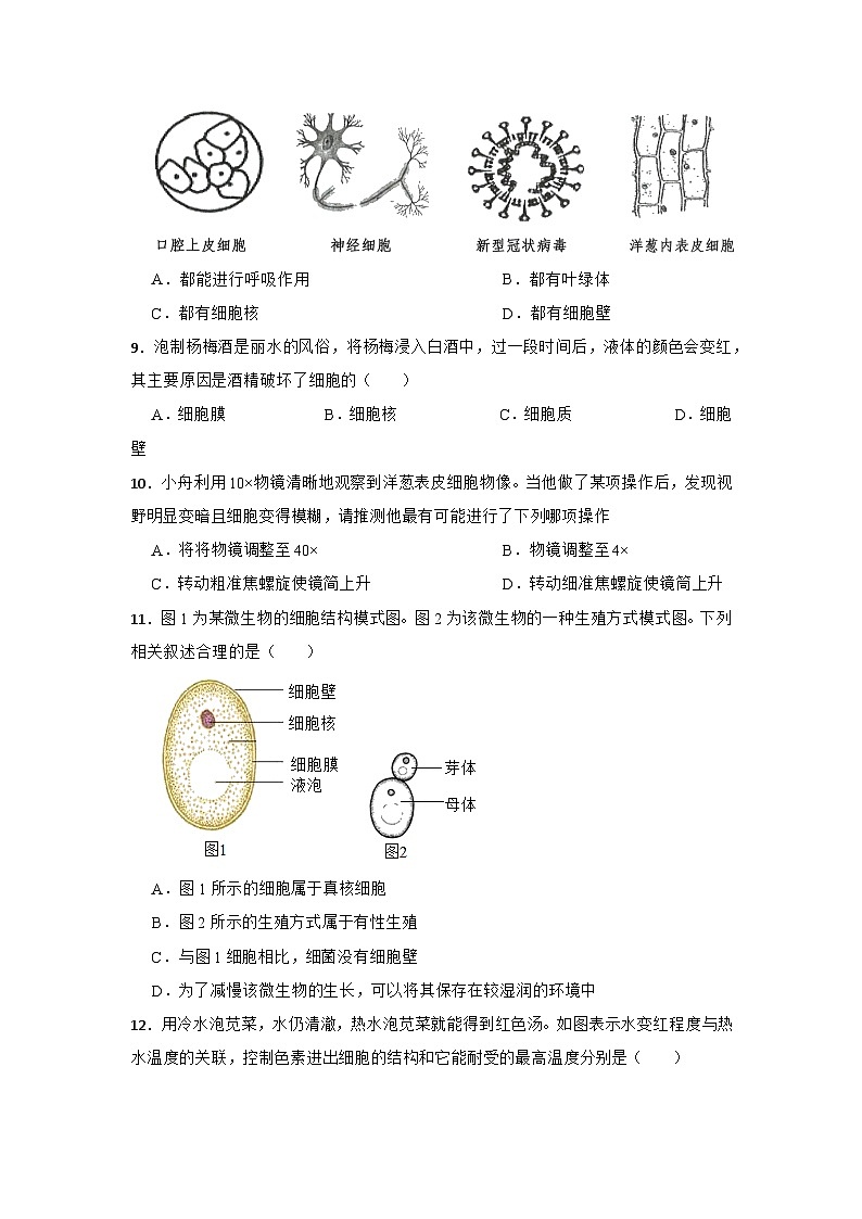 华师大版科学七年级上册 生物体的结构层次 章节训练卷第3页