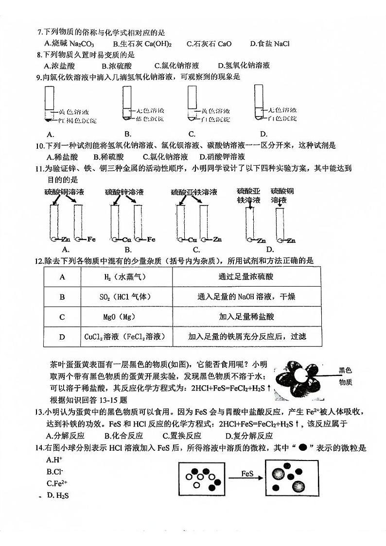 浙江省温州市鹿城区温州市第二中学2023-2024学年九年级上学期10月月考科学试题第2页