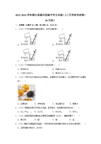 浙江省温州市实验中学2023-2024学年九年级上学期月考科学试卷（10月份）