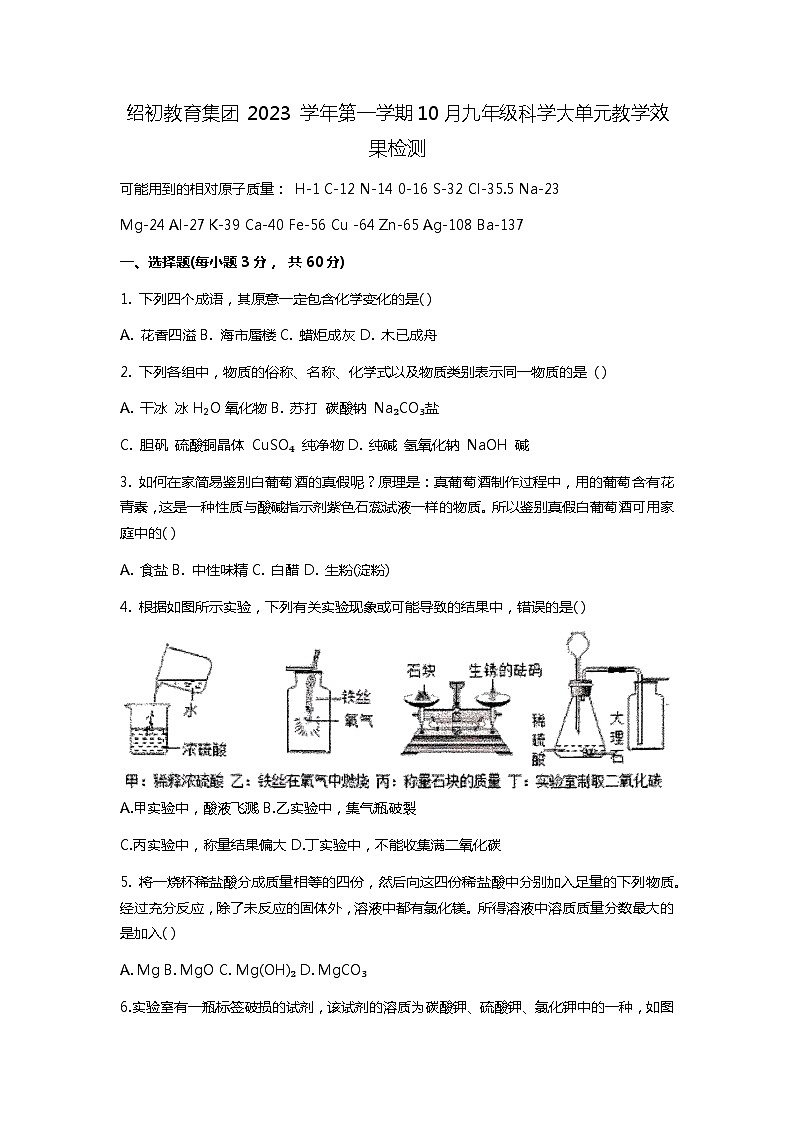 浙江省绍兴市越城区绍兴市第一初级中学2023-2024学年九年级上学期10月月考科学试题01