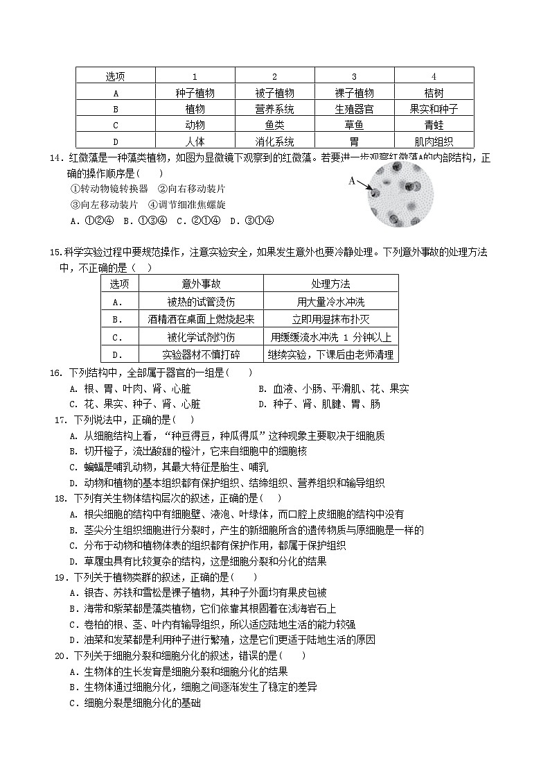 浙江省杭州市西湖区2023-2024 学年七年级上册科学期中模拟测试03