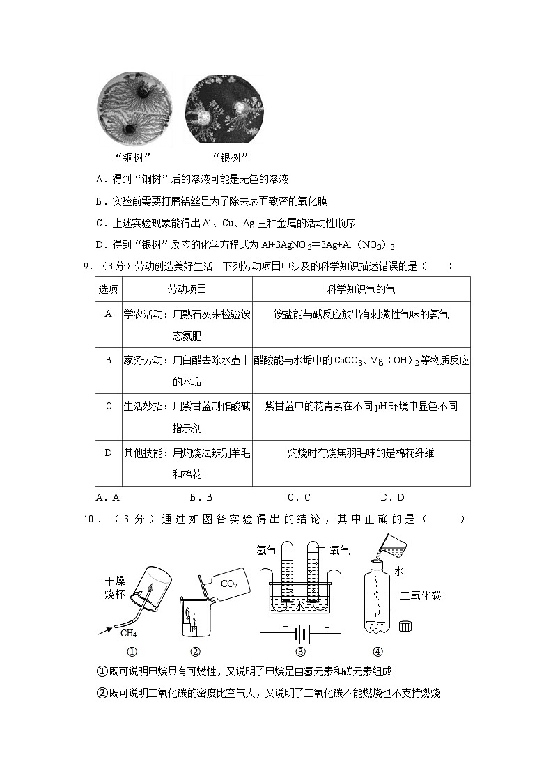浙江省杭州市十三中教育集团2023-2024学年九年级上学期10月月考科学试卷第3页