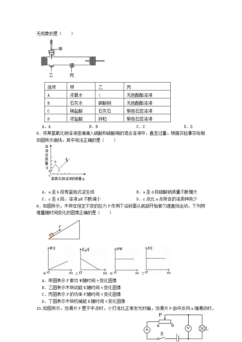 浙江省杭州市西湖区2023-2024学年九年级上学期期中科学培优模拟卷02