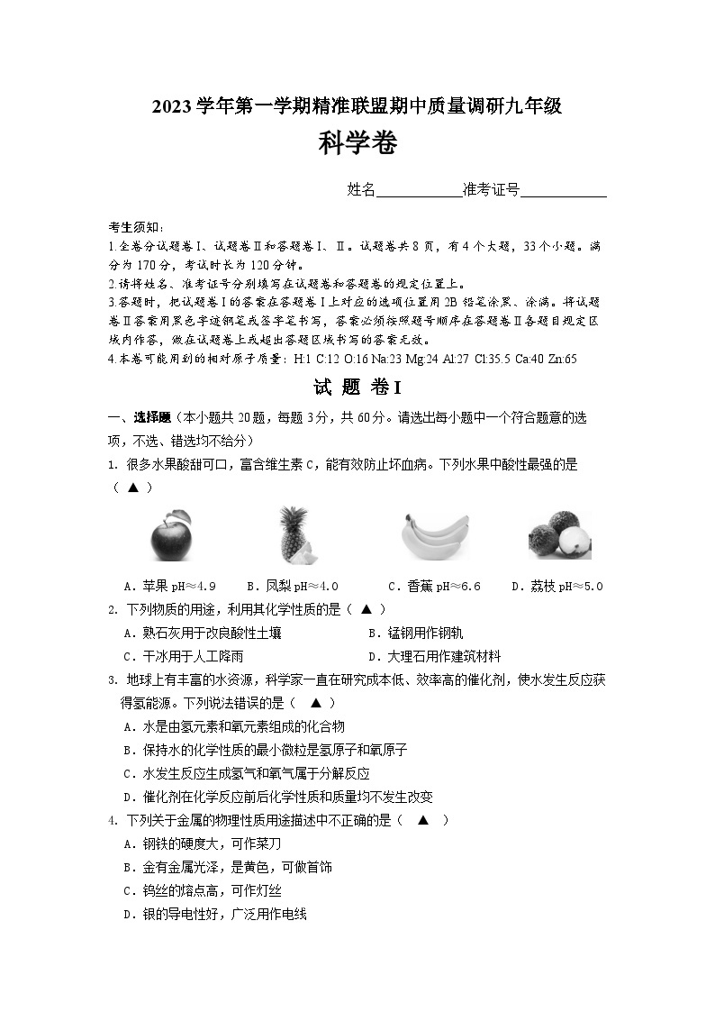 浙江省宁波市北仑区2023-2024学年九年级上学期11月期中联考科学试题01