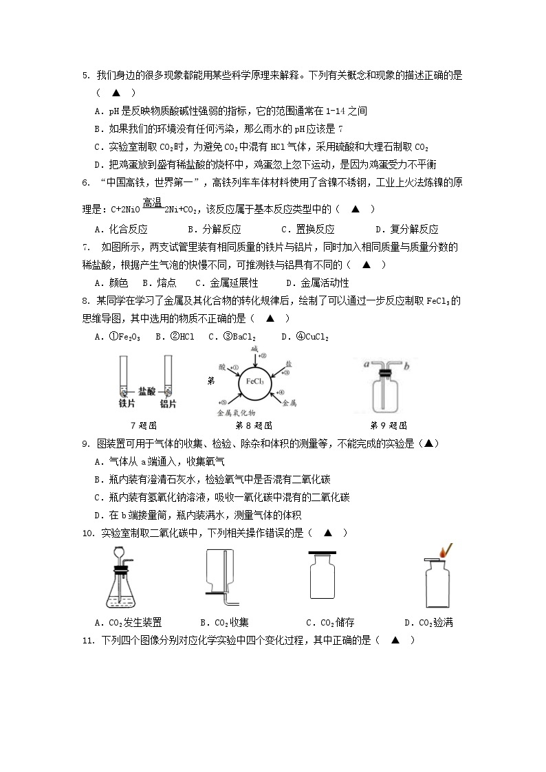 浙江省宁波市北仑区2023-2024学年九年级上学期11月期中联考科学试题02