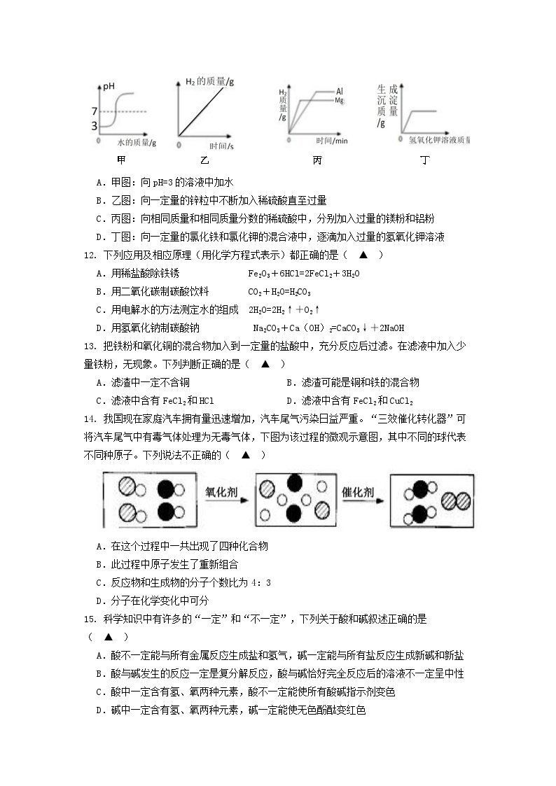 浙江省宁波市北仑区2023-2024学年九年级上学期11月期中联考科学试题03