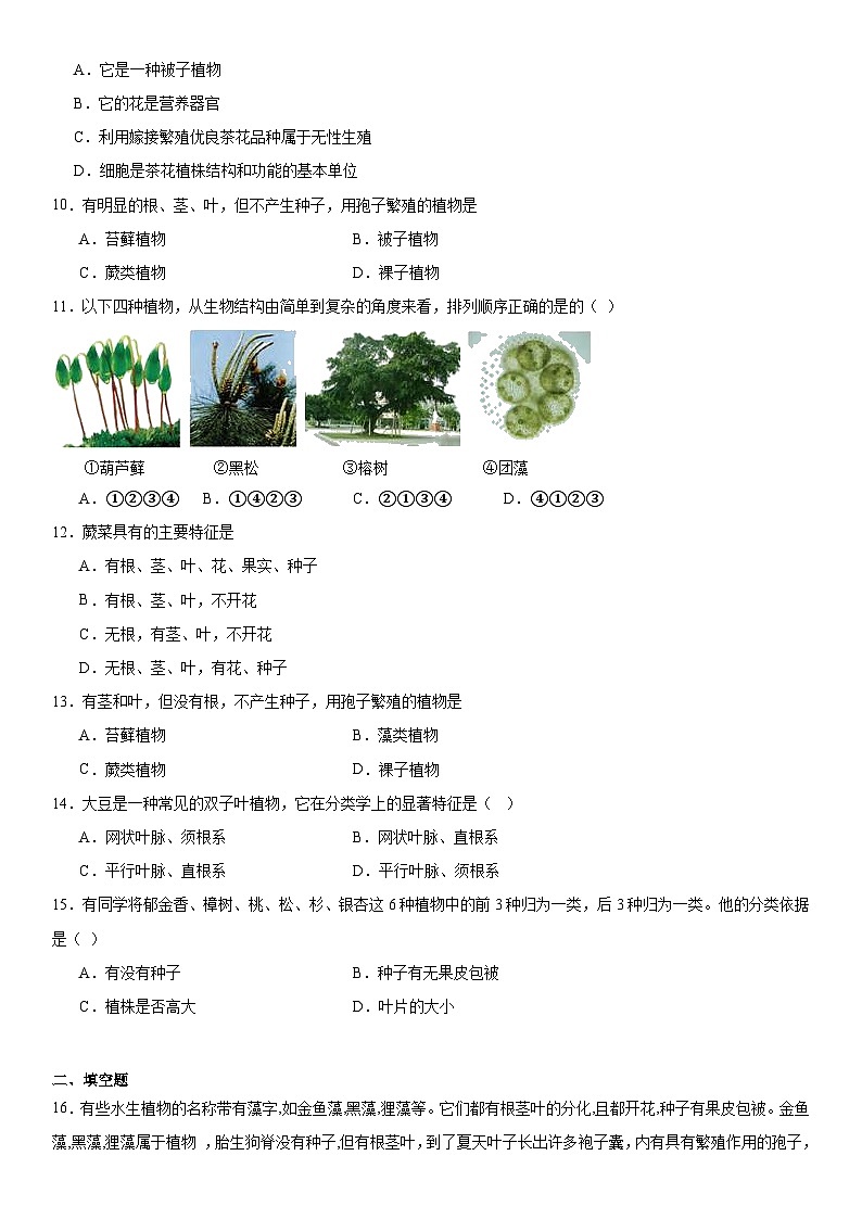 2.⒉植物的主要类群 练习——华东师大版七年级上册科学第2页
