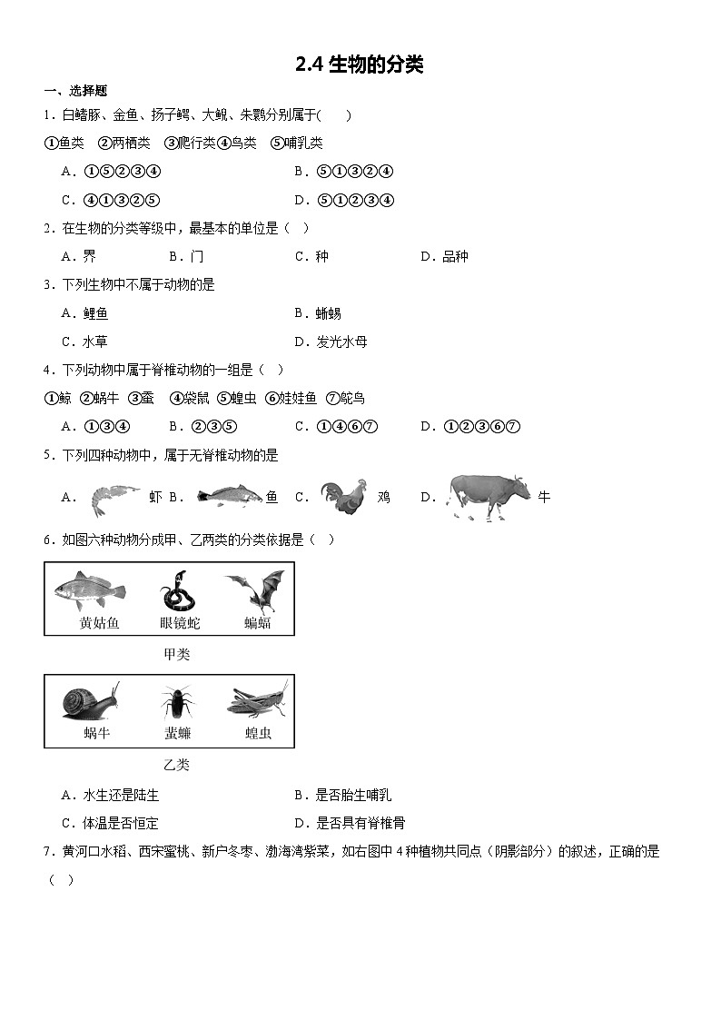 2.4生物的分类 练习——华东师大版七年级上册科学01
