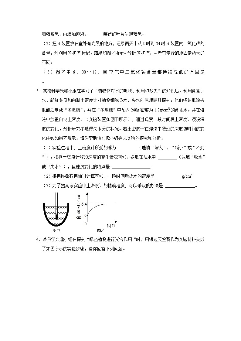 第四章《植物的物质和能量的转化》探究专项训练    华东师大版八年级下册科学第2页