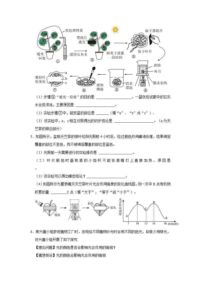 第四章《植物的物质和能量的转化》探究专项训练    华东师大版八年级下册科学第3页
