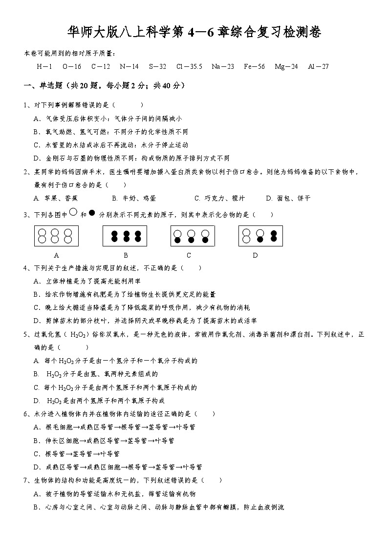 第4－6章综合复习检测卷——华东师大版八年级上册科学第1页