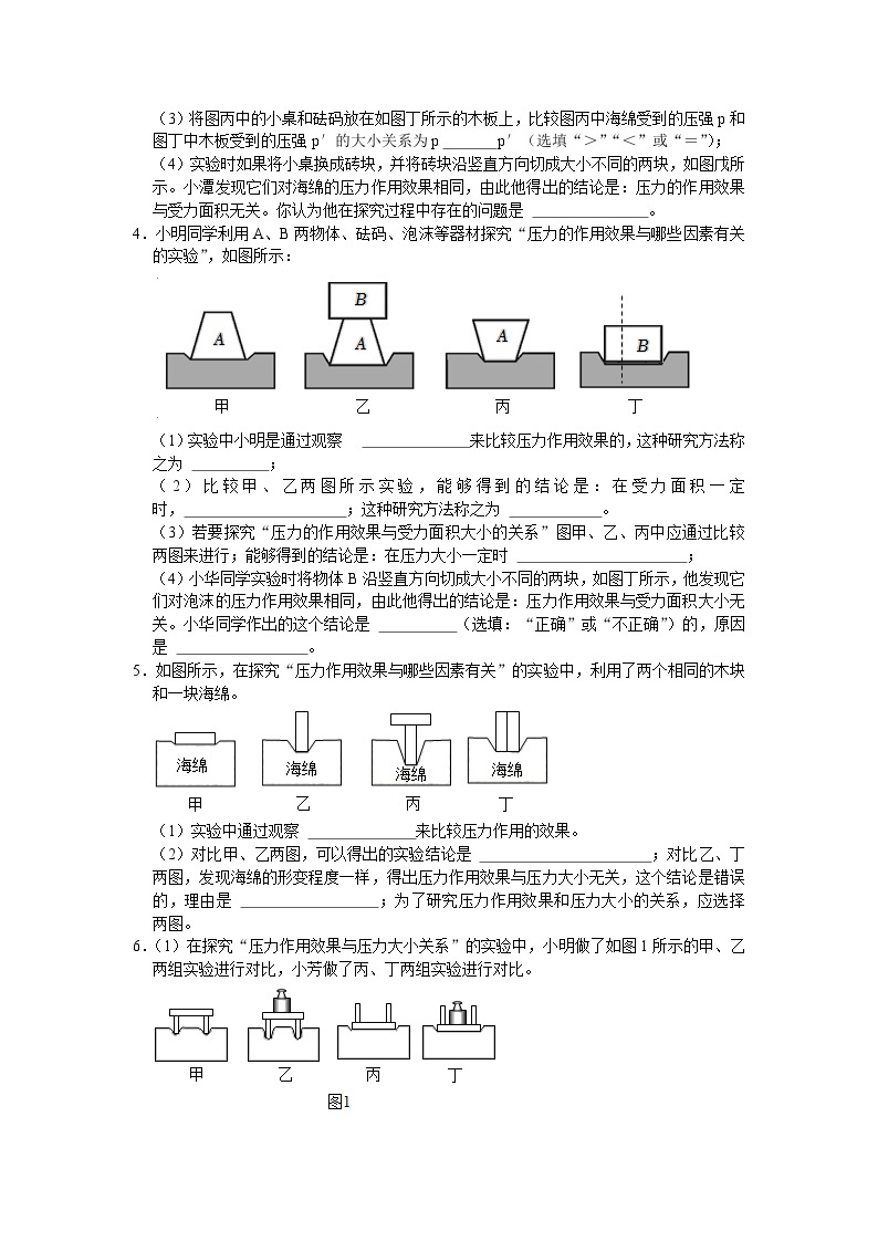 第二章知识点3 探究压力作用效果的影响因素 华东师大版八年级上册科学02