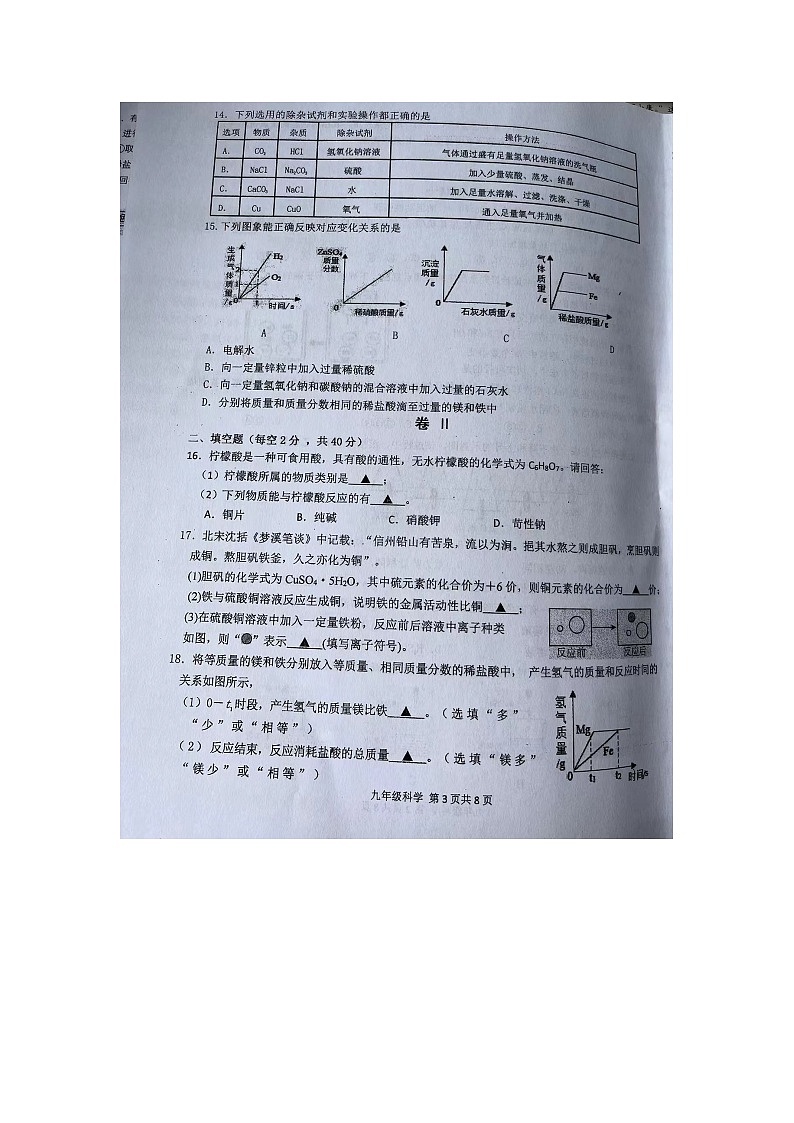 浙江省丽水市青田二中教育集团2023-2024学年九年级上学期期中检测科学试题第3页