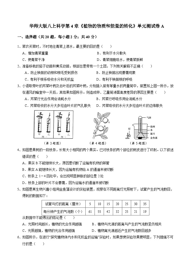 第4章 植物的物质和能量的转化 单元测试卷A   华东师大版科学八年级上册第1页