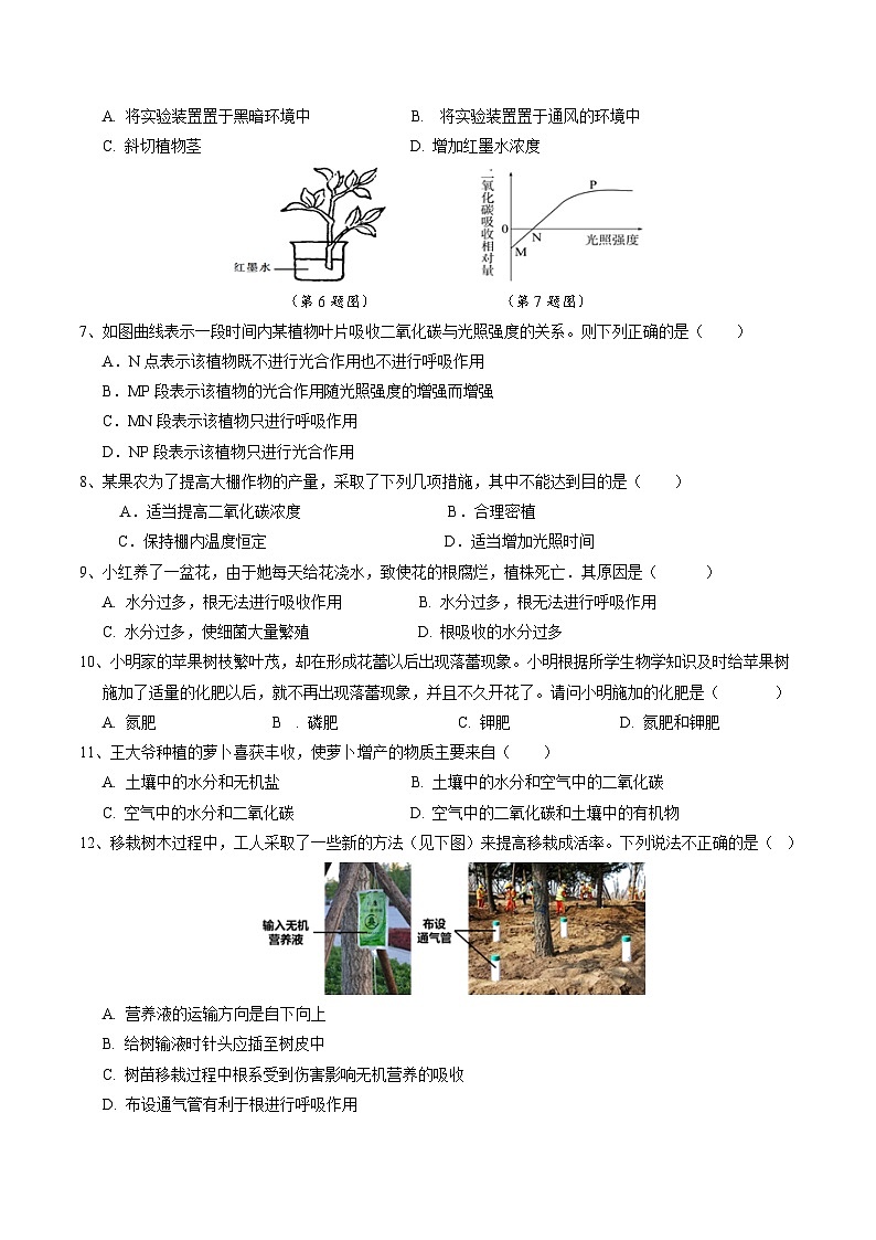 第4章 植物的物质和能量的转化 单元测试卷A   华东师大版科学八年级上册第2页