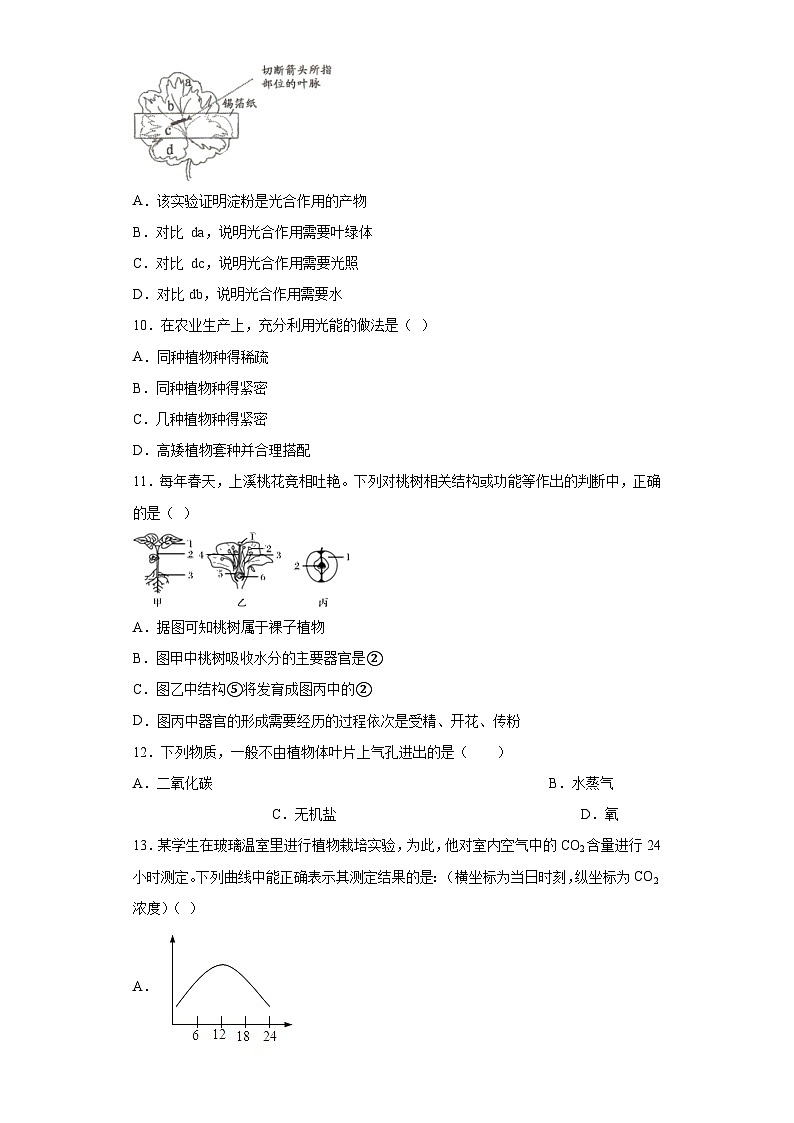 第四章 植物的物质和能量的转化  选择题 专题训练    华东师大版科学八年级上册第3页