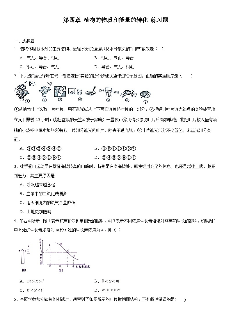 第四章植物的物质和能量的转化练习题    华东师大版科学八年级上册第1页